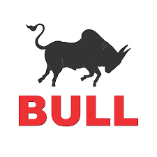 bull logo